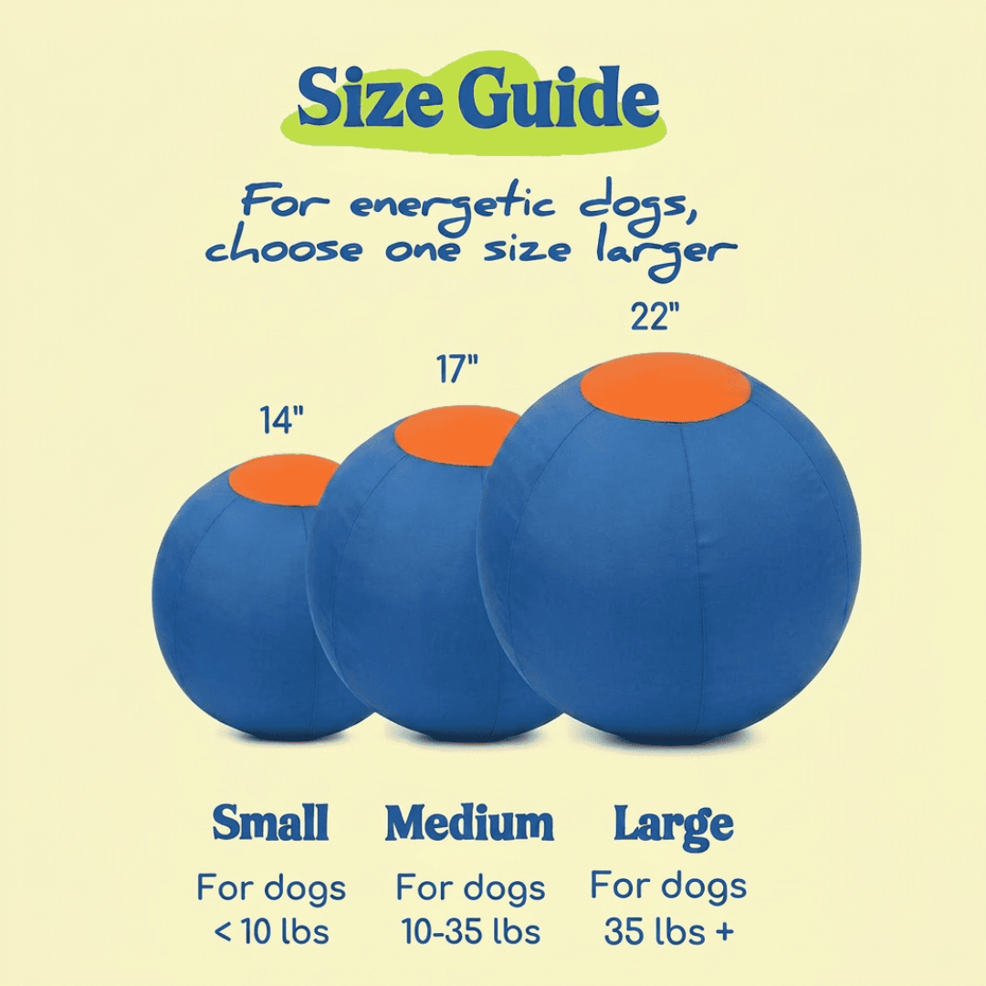 Dog Herding Ball