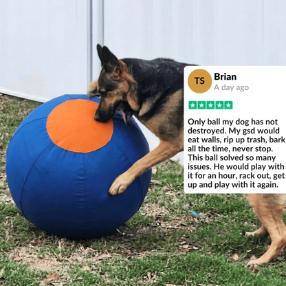 Dog Herding Ball