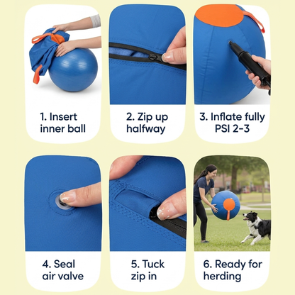 Dog Herding Ball