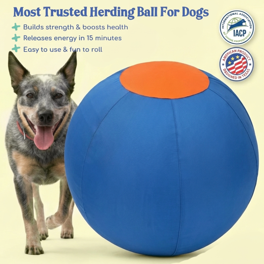 Dog Herding Ball
