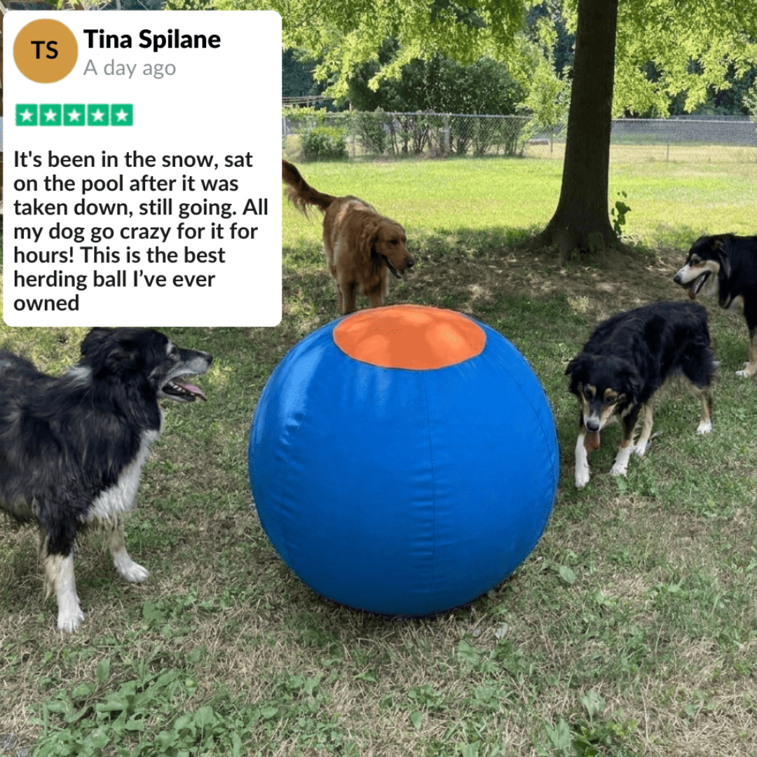 Dog Herding Ball