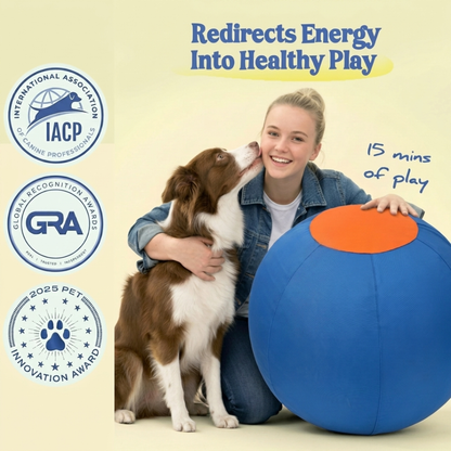 Dog Herding Ball