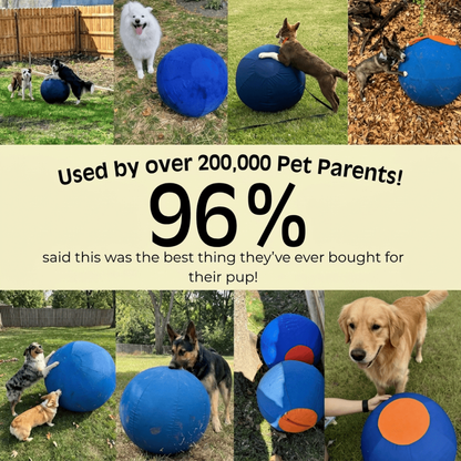 Dog Herding Ball